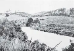  ??  ?? The upper Owaka River, in the Catlins district, Otago. — Otago Witness, 26.10.1920
COPIES OF PICTURE AVAILABLE FROM ODT FRONT OFFICE, LOWER STUART ST, OR WWW.OTAGOIMAGE­S.CO.NZ