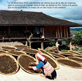  ??  ?? Le 18 septembre 2015, des femmes de l’ethnie jinuo de la ville de Jinghong, dans la province du Yunnan, sont en train de sécher du thé. Grâce à la plantation de thé et d’hévéa, le niveau de vie des locaux s’est amélioré.