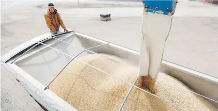  ?? CHARLIE NEIBERGALL, THE ASSOCIATED PRESS ?? Iowa farmer Terry Morrison loads soybeans at the Heartland Co-op in Redfield, Iowa on Monday.