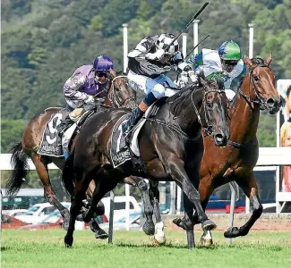  ?? RACE IMAGES ?? Kawi, left, ridden by Leith Innes, wins the Thorndon Mile at Trentham last year.