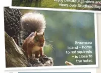  ??  ?? Brownsea Island – home to red squirrels – is close to the hotel.