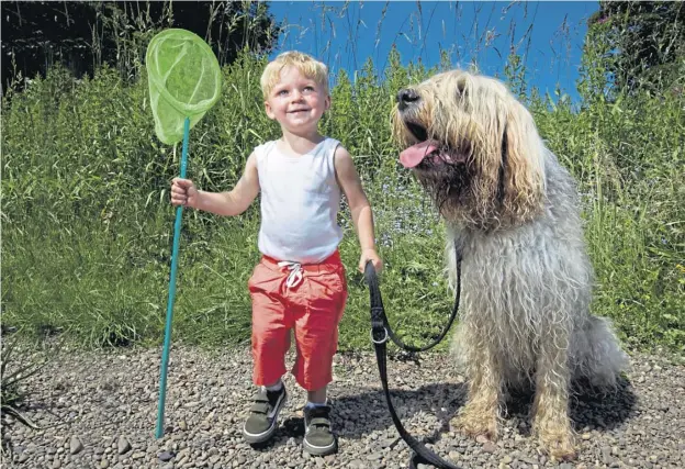  ??  ?? 0 Harris Paterson, two, from Ayrshire off to try a spot of fishing with Will Lazenby’s otterhound, Hafflin. Mr Lazenby says the breed makes excellent family pets