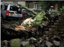  ?? Phil Noble/Reuters ?? A tree surgeon works to remove a tree from a car in Stalybridg­e, Tameside. Photograph: