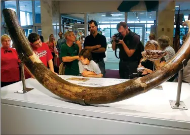  ?? (File Photo/AP/Seth Perlman) ?? Crowds gather to look at a tusk and a tooth from a woolly mammoth Aug. 14, 2006, at the Illinois State Museum in Springfiel­d, Ill.