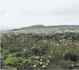  ??  ?? ●●Winter Hill grassland