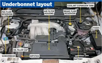  ??  ?? Underbonne­t layout COOLANT EXPANSION TANK AIR FILTER HOUSING BRAKE FLUID RESERVOIR PAS FLUID RESERVOIR FUSES OIL FILLER CAP SCREENWASH DIPSTICK BATTERY