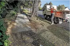  ?? WARWICK SMITH/ STUFF ?? Street tree roots are problemati­c for footpaths. Jacob McMillan working for C and H Concreting, completes repairs in Palmerston North’s Park Rd.