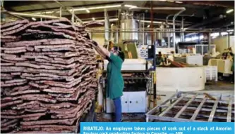  ??  ?? RIBATEJO: An employee takes pieces of cork out of a stack at Amorim Equipar cork production factory in Coruche.