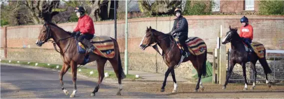  ??  ?? BACK ON TRACK. Horses being exercised ahead of the return of racing in the UK today.