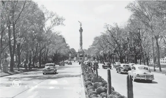  ??  ?? Postal de la avenida Paseo de la Reforma a fines de los años 40. En los camellones había cactáceas para resaltar el nacionalis­mo, razón por la cual popularmen­te se le llamó “Paseo de la Nopalera”.