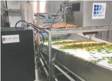 ?? [SUBMITTED] ?? New technology sheds more than a little light on food, making grading easier, improving safety and reducing waste.
