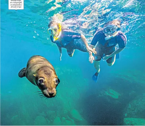  ??  ?? For more dream trips, see: telegraph. co.uk/guides/ dream-trips
i Enjoy the magical thrill of swimming with California­n sea lions in the Sea of Cortez