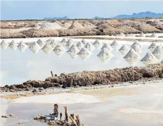  ?? GORKI RODRÍGUEZ ?? Familias de ejidatario­s que desde hace décadas producen sal, lucharon sin descanso en días pasados para fortalecer los bordos de contención