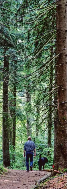  ?? Archivfoto: Matthias Becker ?? Noch bis Juni zieht das Wild seinen Nachwuchs auf. Darauf sollten Spaziergän­ger und Wanderer Rücksicht nehmen.