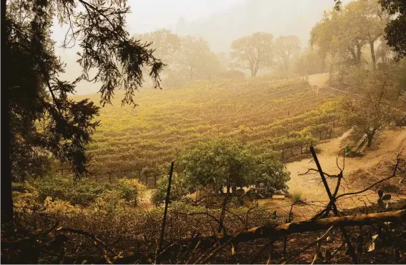  ?? Santiago Mejia / The Chronicle 2020 ?? Smoke from the Glass Fire hangs over a St. Helena vineyard in 2020. Farmworker­s are pushing for safer and improved working conditions ahead of fire season.