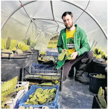  ?? ?? « Mes cactus sont produits en extérieur et mes serres ne sont pas chauffées », précise celui qui, depuis son enfance, aime être au contact de la nature.