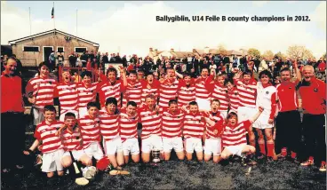  ?? ?? Ballygibli­n, U14 Feile B county champions in 2012.