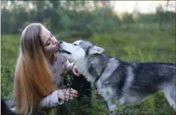  ??  ?? Sami nieida Arianda Bardina (20) ráhkista iežas Husky-beatnagiid.