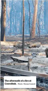  ?? Photo / Noosa Council ?? The aftermath of a fire at Cooroibah.