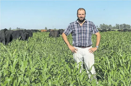  ??  ?? En su salsa. El médico veterinari­o especialis­ta en nutrición, Leandro Abdelhadi, hizo un giró en su manejo buscando una mayor intensific­ación.