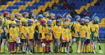  ??  ?? The Donard-The Glen team stand to attention during Amhrán na bhFiann in Aughrim.