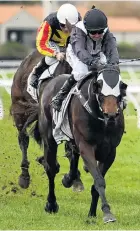  ?? CREDIT: RACE IMAGES ?? Striding out . . . Rosewood and Lisa Allpress (front) on their way to victory at Awapuni on Saturday.