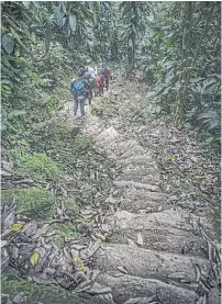  ??  ?? Lead guide Iderle Muñoz, holding up the rear, watches as the group descends the steps leading away from Ciudad Perdida.