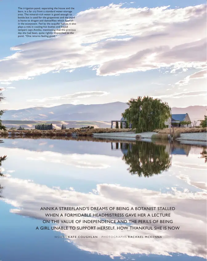  ??  ?? The irrigation pond, separating the house and the barn, is a far cry from a standard water- storage area. The mineral- rich water is good enough to bottle but is used for the grapevines and the pond is home to dragon and damselflie­s which flourish in...