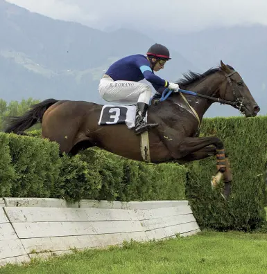  ?? (Foto Press Arigossi) ?? Outisder Ciro Vincenti, speranza tutta meranese, oggi è tra i 14 cavalli al via del Gp