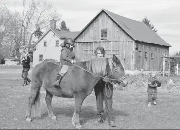  ?? IMAGESMADO@GMAIL.COM ?? Mcalpine Equestrian Centre & Farm allows children – and adults – to experience rural life.