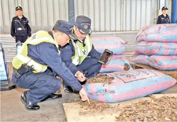  ??  ?? Chinese customs officials inspect scales of pangolins they seized on a ship in Shenzhen, Guangdong province, China. — Reuters photo