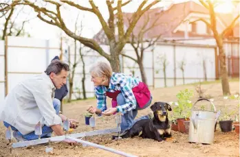  ?? SUPPLIED ?? Home supports is an approach that invests in practical home supports for older adults who are relatively healthy but may
require mostly non-medical services.