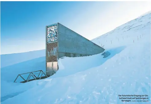  ??  ?? Der futuristis­che Eingang zur Global Seed Vault auf Spitzberge­n in
Norwegen.