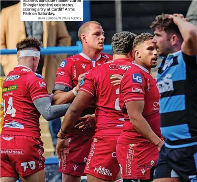  ?? MARK LEWIS/HUW EVANS AGENCY ?? Scarlets blindside flanker Aaron Shingler (centre) celebrates scoring a try at Cardiff Arms Park on Saturday.