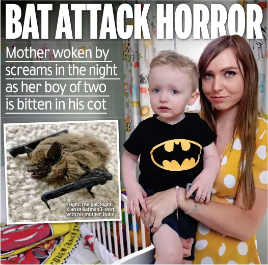  ??  ?? Fright: The bat. Right: Kian in Batman T-shirt with his mother Jodie
