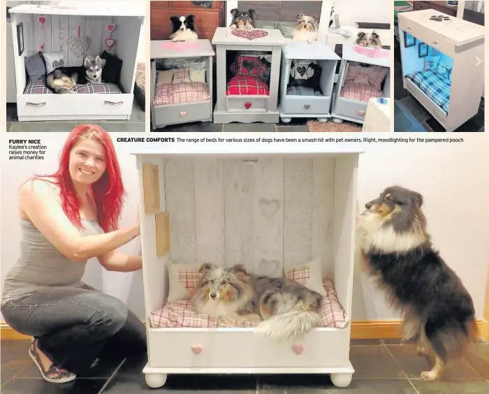 ??  ?? FURRY NICE Kaylee’s creation raises money for animal charities CREATURE COMFORTS The range of beds for various sizes of dogs have been a smash hit with pet owners. Right, moodlighti­ng for the pampered pooch