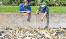  ?? FOTO: DPA ?? Auf einer Länge von 20 Kilometern sind die Fische verendet.