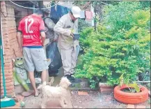  ??  ?? Un funcionari­o de Senepa muestra un criadero de mosquino al ocupante de una casa.