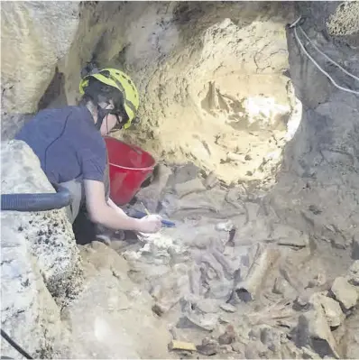  ?? EPC ?? Treballs d’excavació a la gruta italiana de Guattari.