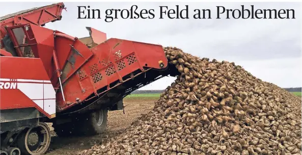  ?? RP-FOTO: SPEEN ?? Ein Rübenroder lädt die Ernte am Feldrand ab. Dieses Bild könnte in Zukunft seltener werden, befürchten die Bauern der Erkelenzer Börde.