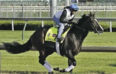  ?? Garry Jones/ TheAssocia­ted Pres ?? Kentucky Derby hopeful Upstart, ridden by exercise rider Vicki King, has won just three of his seven starts but has run well in each of them, Andrew Beyer writes.