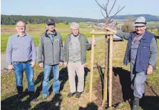  ?? FOTO: SILVIA MÜLLER ?? Elmar Mattes, Markus Merz, Horst Walter und Kurt Höfler (von links) haben einen Schneidera­pfel-Baum gepflanzt.