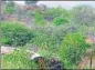  ?? ?? It has been proposed that 260sq km of plantation­s will be grown over Aravalli region.