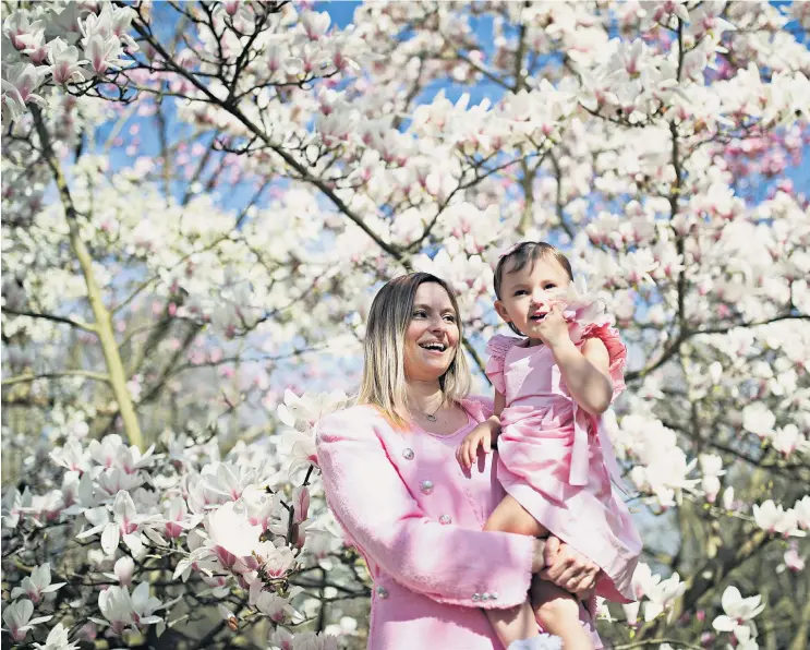  ?? ?? Packing a Punch: the famous puppet character will pop up at Covent Garden’s May Fayre Blooming lovely: colourful clouds of magnolia can be admired at Kew Gardens