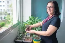  ??  ?? Lembranças. Plantas remetem Leticia à época da infância