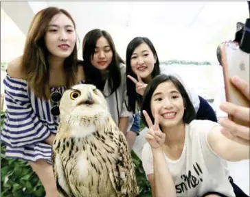  ?? JAPAN NEWS ?? Tourists from Taiwan and other customers pose for a photograph with an owl at an animal cafe in Osaka, Japan.