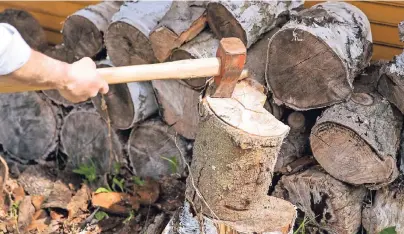  ?? FOTO: DPA ?? Brennholz trocknet schneller, wenn es vor dem Trocknen aufgespalt­en wird. Gut einen Kubikmeter Holz im Jahr brauchen Ofenbesitz­er, die ihre Anlage regelmäßig nutzen.