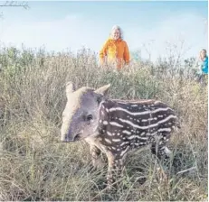  ??  ?? ► Kristine McDivitt en los Esteros del Iberá, en Argentina.