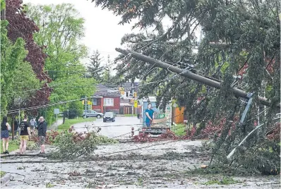  ?? CLIFFORD SKARSTEDT TORSTAR ?? People examine the aftermath of Saturday’s storm in Peterborou­gh, where power lines and trees collapsed into the street.