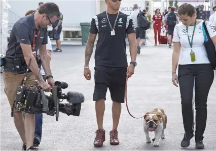  ??  ?? British bulldog: Hamilton, the fastest driver in both practice sessions, takes his pooch for a walk
